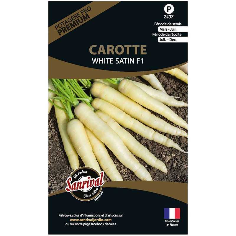 graines de Carotte White Satin graines de Carotte White Satin