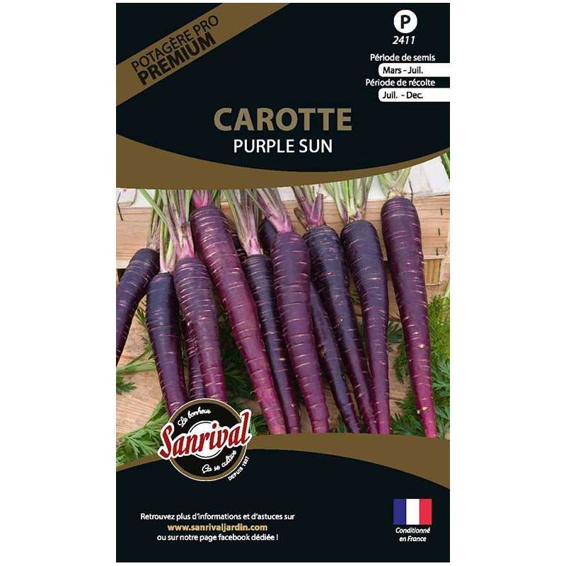 graines de Carotte Purple Sun graines de Carotte Purple Sun