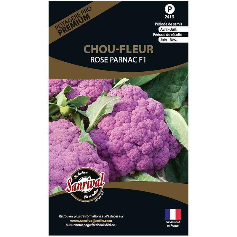 graines de Chou Fleur Rose Parnac F1 graines de Chou Fleur Rose Parnac F1