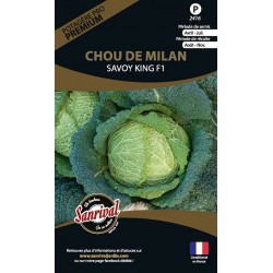graines de Chou de Milan Savoy King F1
