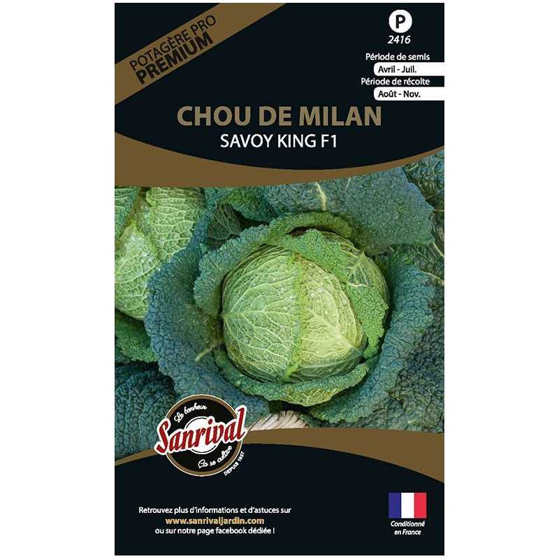 graines de Chou de Milan Savoy King F1 graines de Chou de Milan Savoy King F1