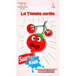 Graines de tomates cerises pour enfants