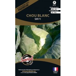 graines de Chou Blanc Sir F1