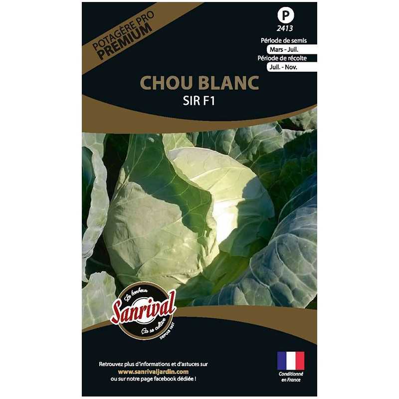 graines de Chou Blanc Sir F1 graines de Chou Blanc Sir F1