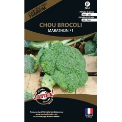 graines de Chou Brocoli Marathon F1