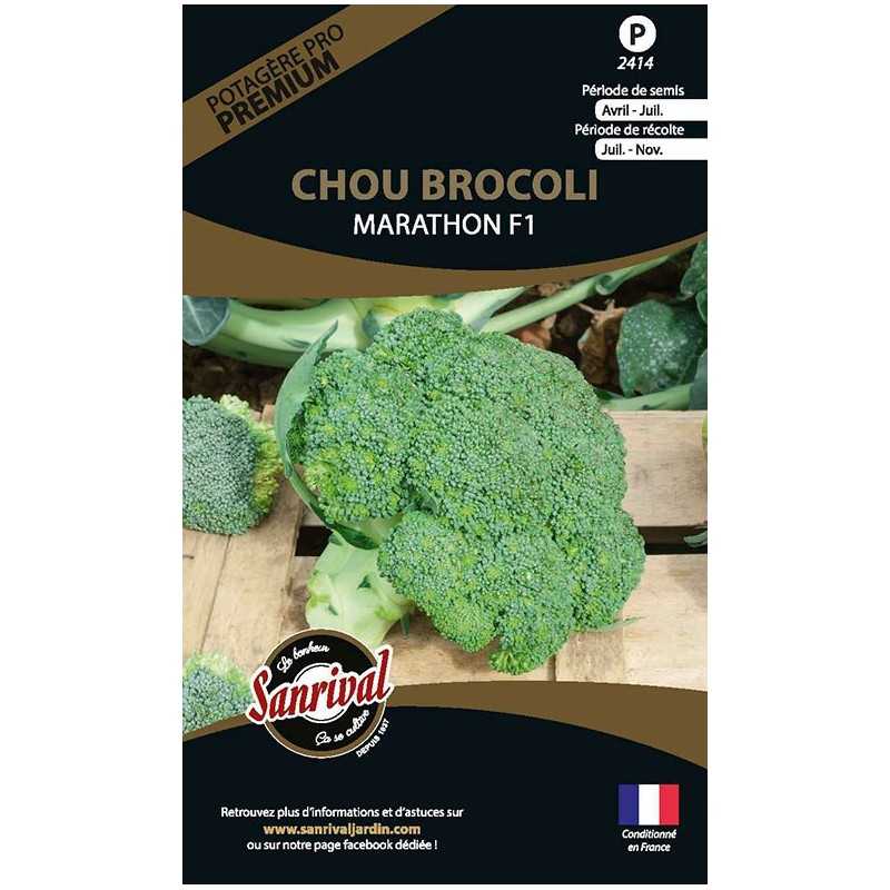 graines de Chou Brocoli Marathon F1 graines de Chou Brocoli Marathon F1
