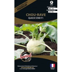 graines de Chou Rave Quick Star F1