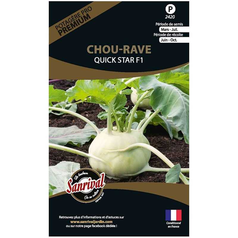 graines de Chou Rave Quick Star F1 graines de Chou Rave Quick Star F1