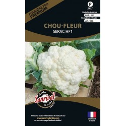 graines de Chou fleur Serac HF1