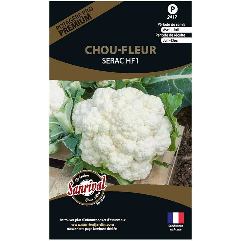 graines de Chou fleur Serac HF1 graines de Chou fleur Serac HF1