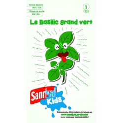 Graines de basilic grand vert pour enfant