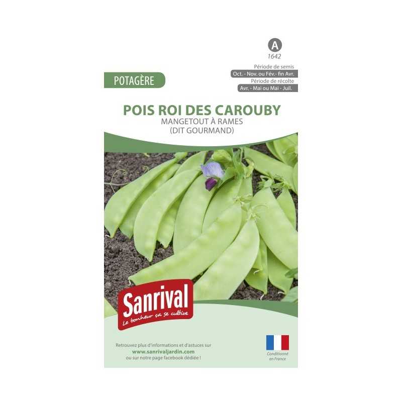 Graines de Pois Roi des Carouby Graines de Pois Roi des Carouby