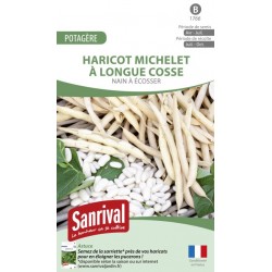Graines de Haricot Michelet &agrave; longue cosse