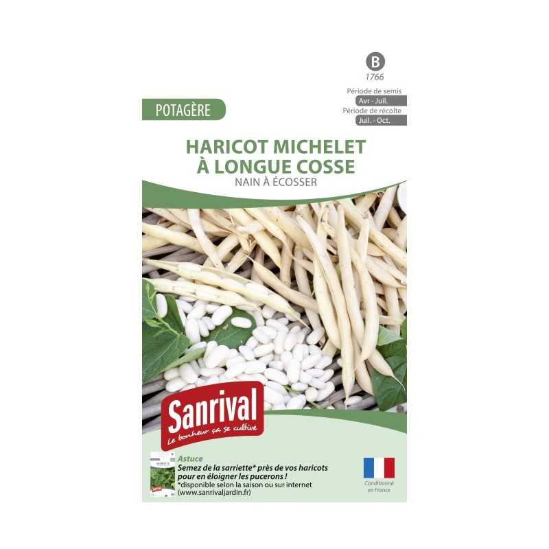 Graines de Haricot Michelet à longue cosse
