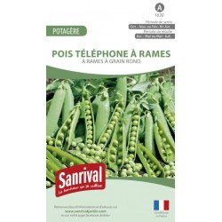 Graines de Pois T&eacute;l&eacute;phone &agrave; rames