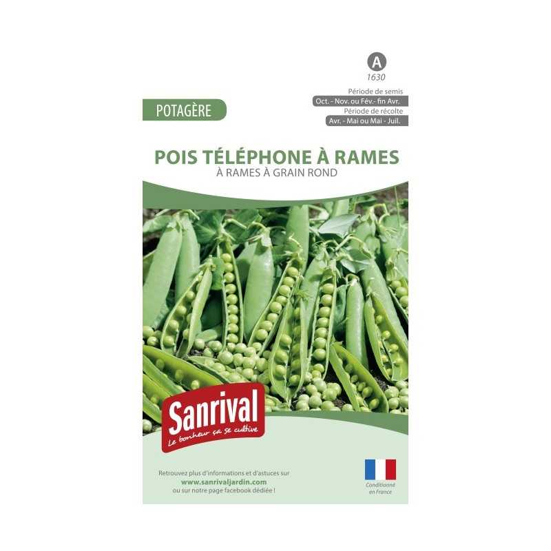 Graines de Pois Téléphone à rames