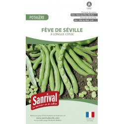 Graines de F&egrave;ve de S&eacute;ville &agrave; longue cosse