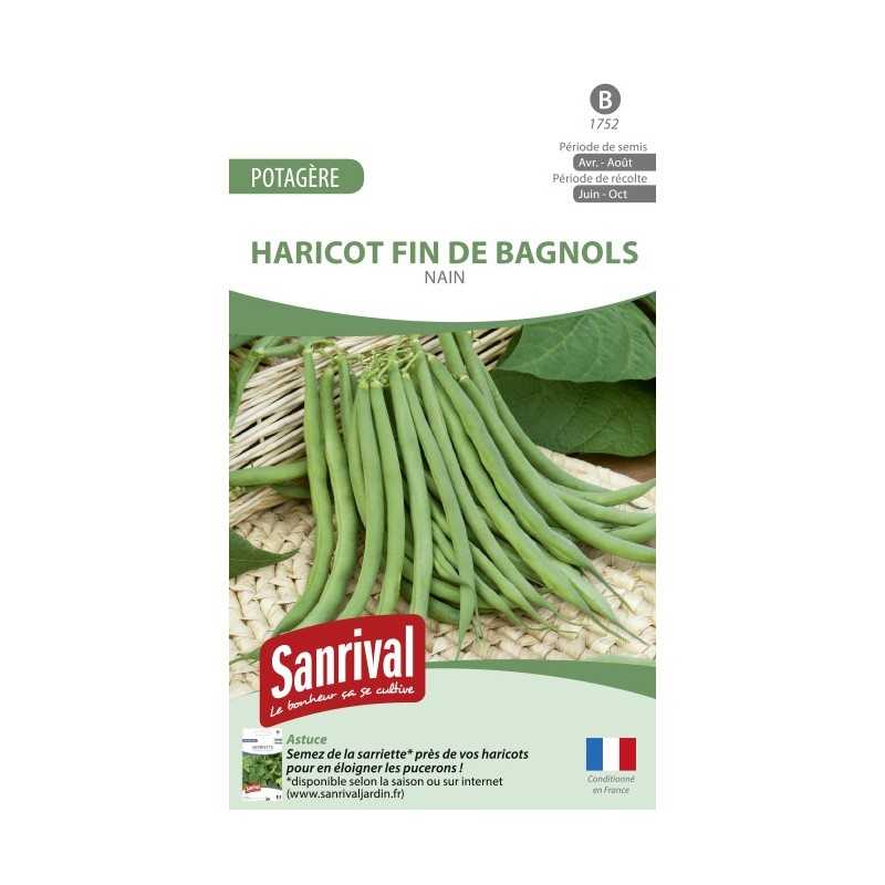 Graines de Haricot Fin de Bagnols nain Graines de Haricot Fin de Bagnols nain