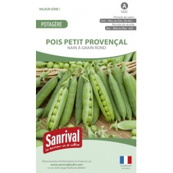 Graines de Pois Petit proven&ccedil;al