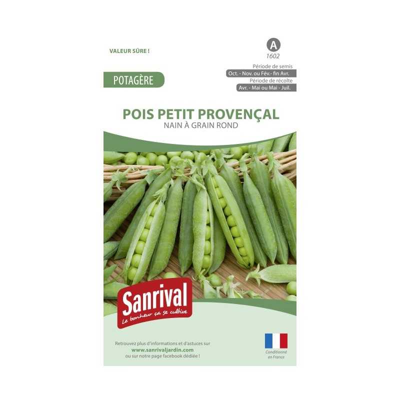Graines de Pois Petit provençal Graines de Pois Petit provençal