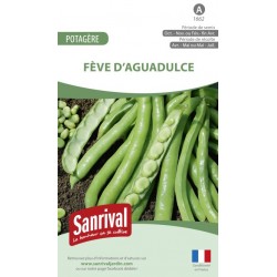 Graines de F&egrave;ve d'Aguadulce