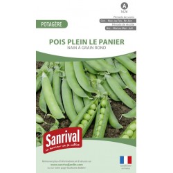Graines de Pois Plein le panier