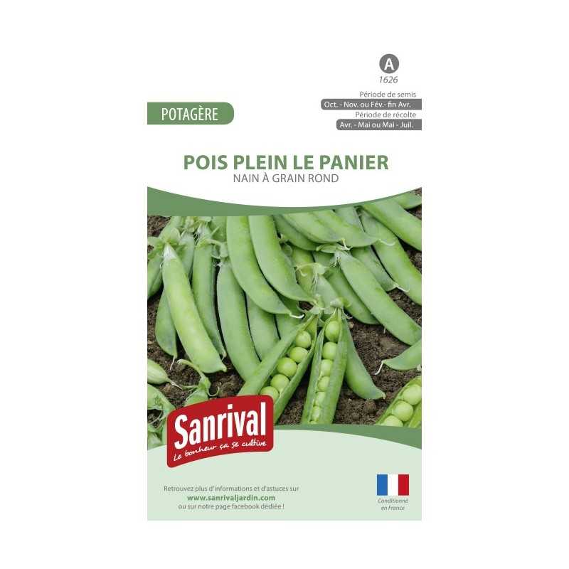 Graines de Pois Plein le panier Graines de Pois Plein le panier