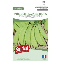 Graines de Pois demi-nain 40 jours