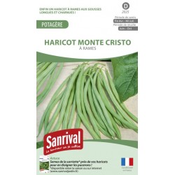 Graines de haricot Monte Cristo mangetout &agrave; rames