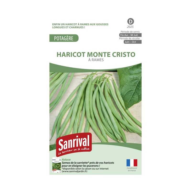 Graines de haricot Monte Cristo mangetout à rames Graines de haricot Monte Cristo mangetout à rames