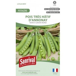 Graines de Pois tr&egrave;s h&acirc;tif d'Annonay