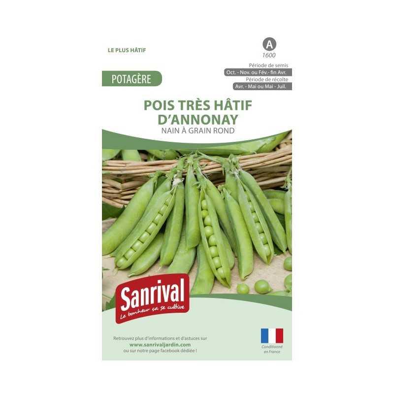 Graines de Pois très hâtif d'Annonay Graines de Pois très hâtif d'Annonay