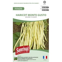 Graines de Haricot Monte Gusto beurre &agrave; rames