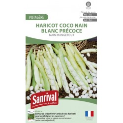 Graines de Haricot Coco nain blanc pr&eacute;coce nain mangetout
