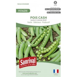 Graines de Pois Cash