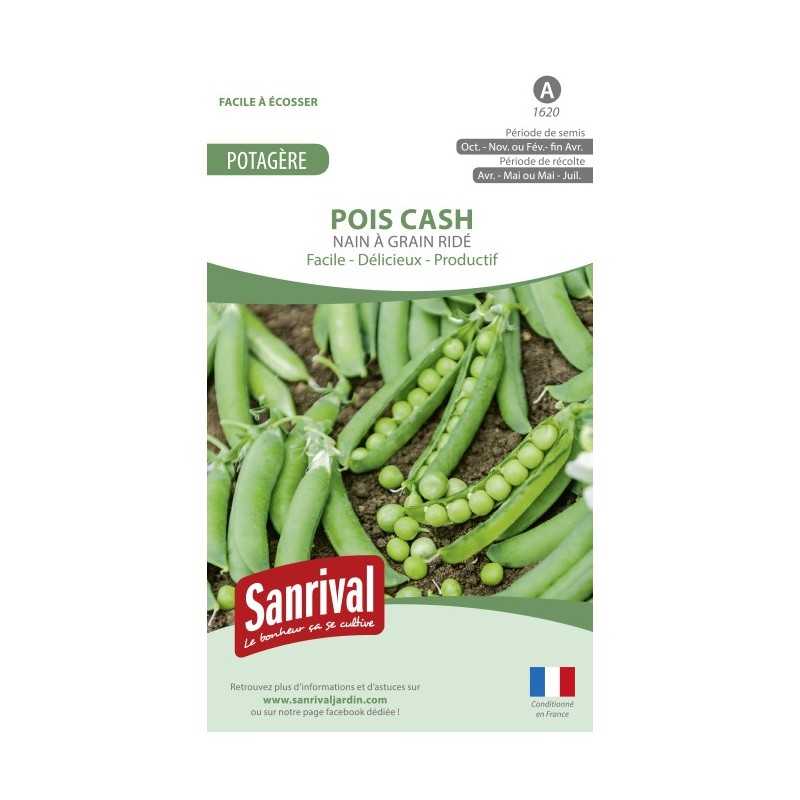 Graines de Pois Cash Graines de Pois Cash