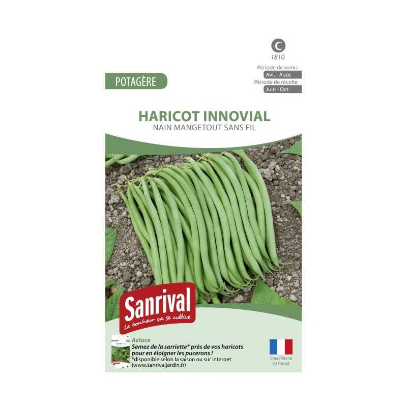 Graines de haricot Innovial nain mangetout sans fil Graines de haricot Innovial nain mangetout sans fil