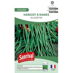 Graines de haricot Kilom&egrave;tre &agrave; rames