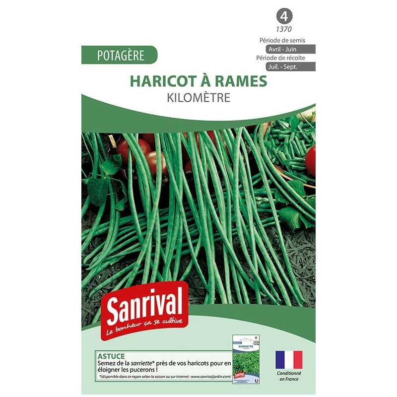 Graines de haricot Kilomètre à rames Graines de haricot Kilomètre à rames