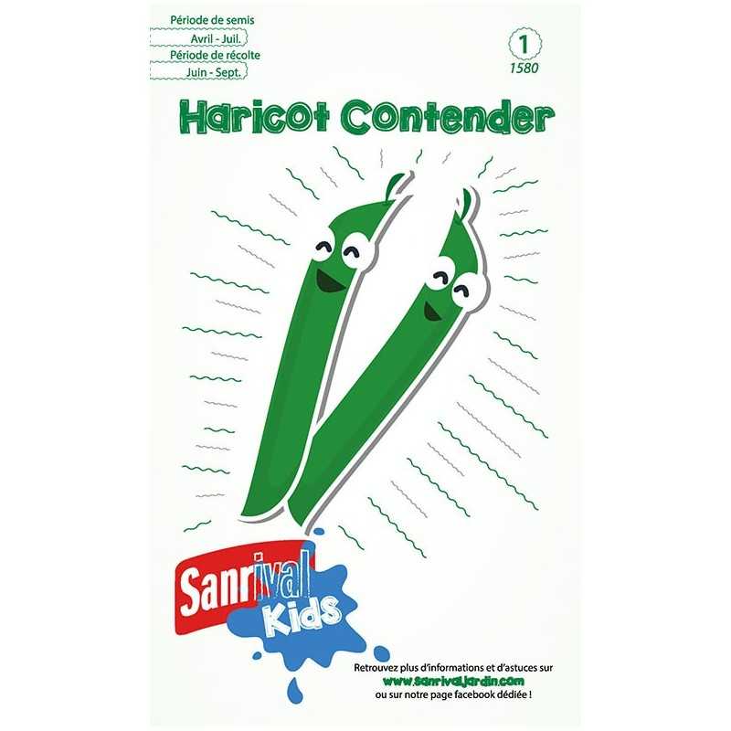 Graines de haricot Contender pour enfants Graines de haricot Contender pour enfants