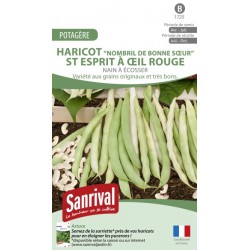 graines de Haricot St esprit &agrave; &oelig;il rouge nain &agrave; &eacute;cosser