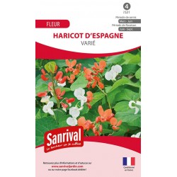 Graines de haricot d'Espagne vari&eacute;