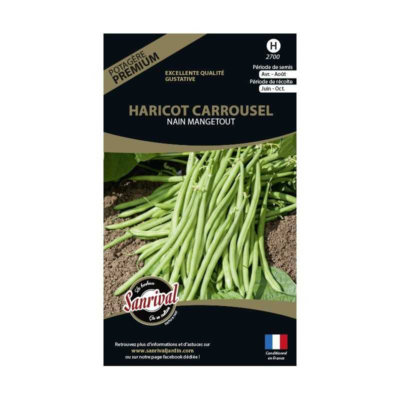 Graines de Haricot Carrousel nain mangetout Graines de Haricot Carrousel nain mangetout