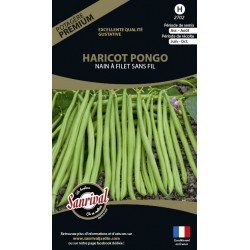 graines de Haricot Pongo Nain &agrave; filet sans fil