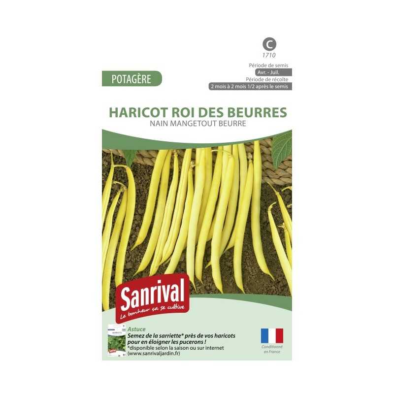Graines de Haricot Roi des Beurres nain mangetout Graines de Haricot Roi des Beurres nain mangetout
