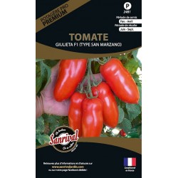 Tomate Giulieta F1 type san marzano