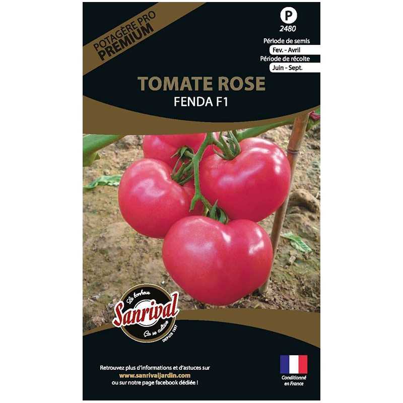 Graines de tomate Rose Fenda F1 Graines de tomate Rose Fenda F1