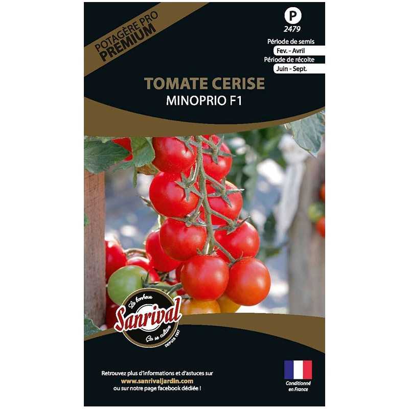 Graines de tomate Cerise Minoprio F1 Graines de tomate Cerise Minoprio F1