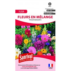Fleurs en mélange pour massifs