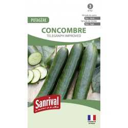 graines de Concombre T&eacute;l&eacute;graph improved
